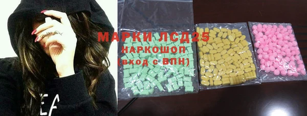 индика Алзамай