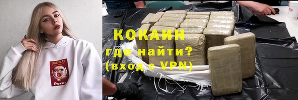 индика Алзамай