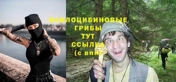 индика Алзамай