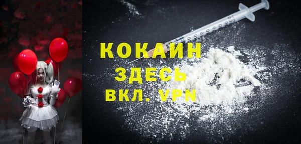 индика Алзамай