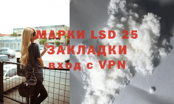 индика Алзамай