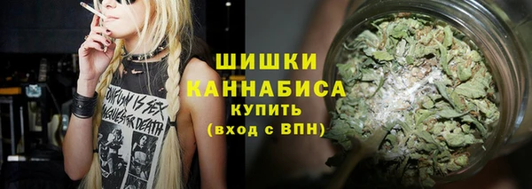 индика Алзамай