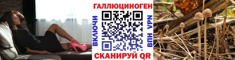 Купить  Смоленск  Галлюциногенные грибы ЛСД 